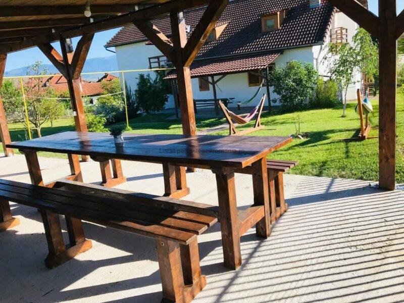 Vila Țara Hațegului
