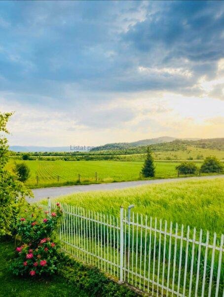 Vila Țara Hațegului