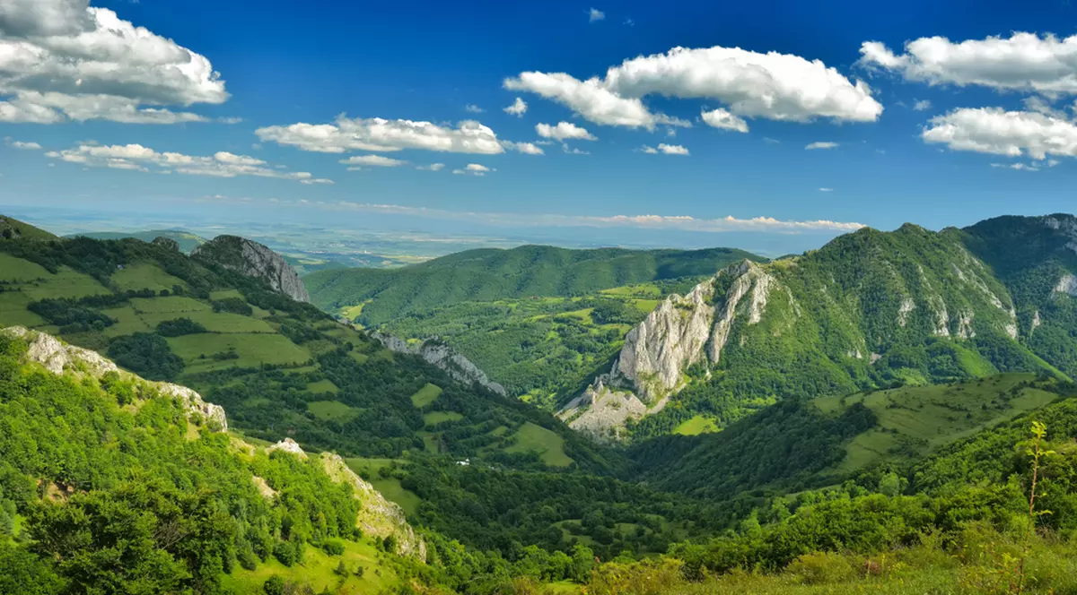 Cazare Apuseni