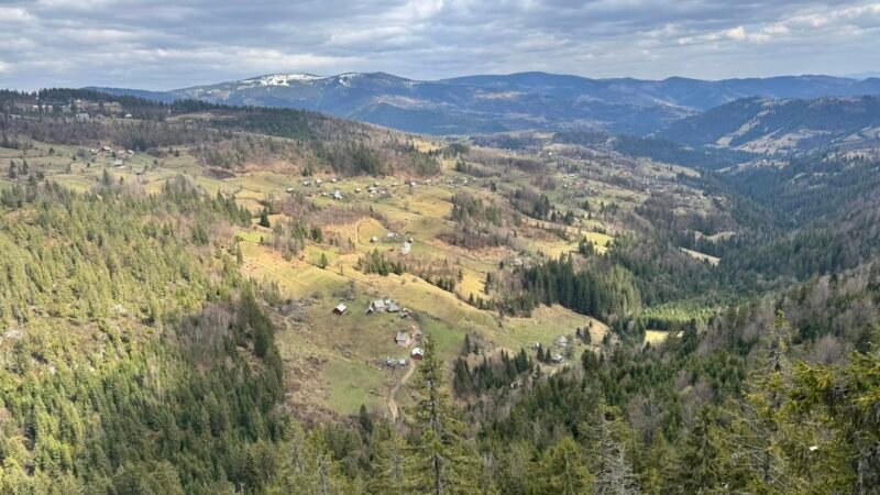 Chalets-Thea