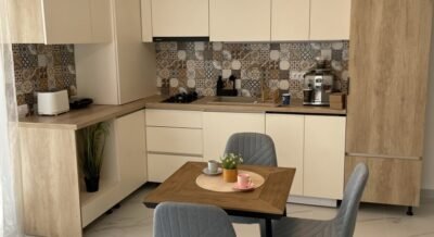 Regim Hotelier Jap Apartment Mamaia Nord