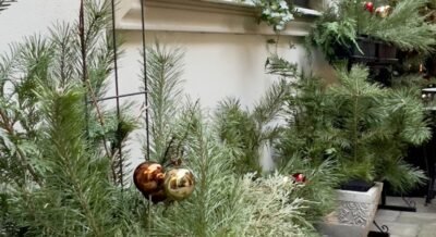 Regim Hotelier Lumiere House Sibiu