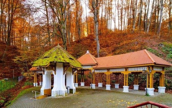 Băile Govora – Aer curat și tratamente respiratorii