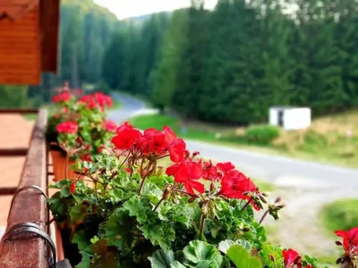 Top Mountain in Poiana Brasov