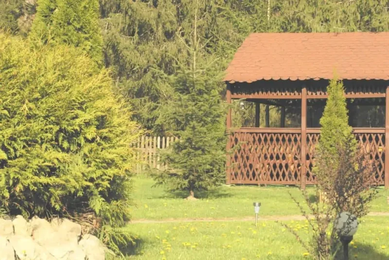Top Mountain in Poiana Brasov