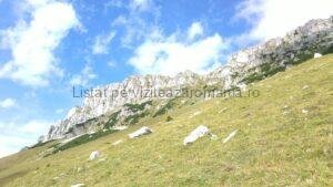 Poiana Guțanu din Munții Bucegi