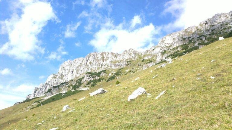 Poiana Guțanu din Munții Bucegi