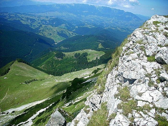 Poiana Guțanu