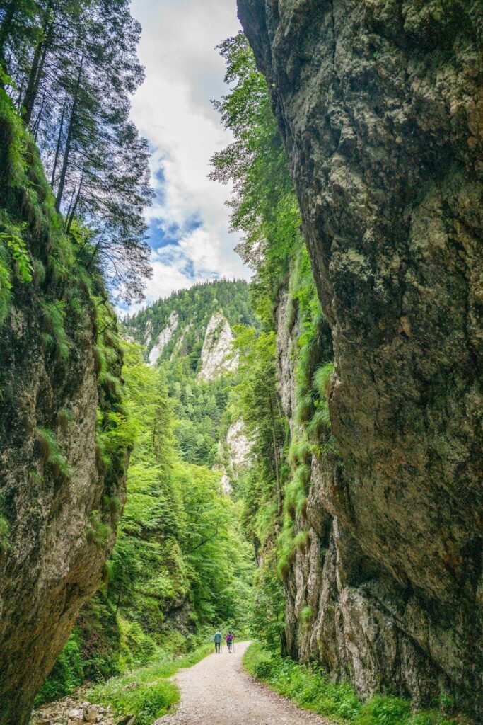 Prăpăstiile Zărneștiului