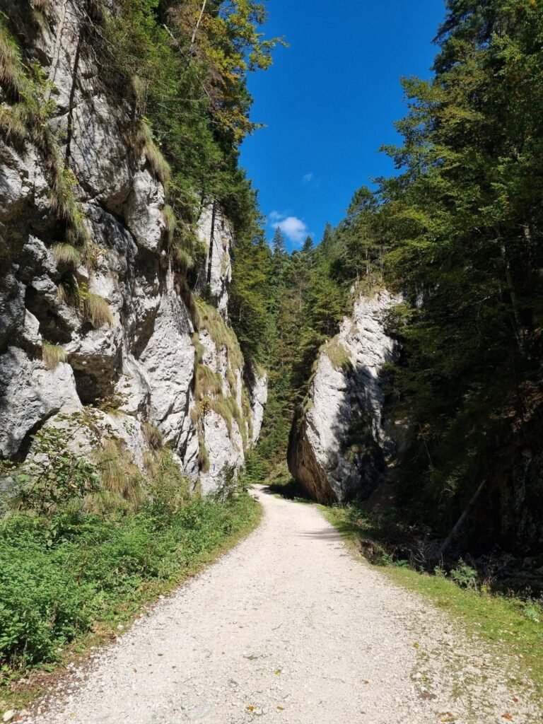 Prăpăstiile Zărneștiului