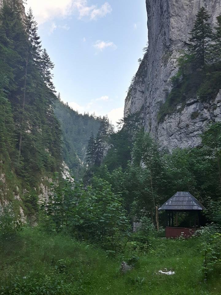 Prăpăstiile Zărneștiului