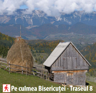 Traseul Ecoturistic T8 Pe Culmea Bisericuței Moieciu de Sus