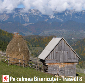 Traseul 8 Pe Culmea Bisericuței Moieciu de Sus – Ghid Drumeție T8