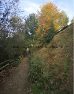 Traseul Ecoturistic T8 Pe Culmea Bisericuței Moieciu de Sus