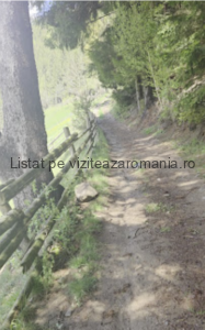 Traseul Ecoturistic T8 Pe Culmea Bisericuței Moieciu de Sus