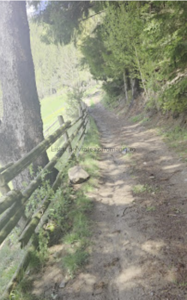 Traseul Ecoturistic T8 Pe Culmea Bisericuței Moieciu de Sus