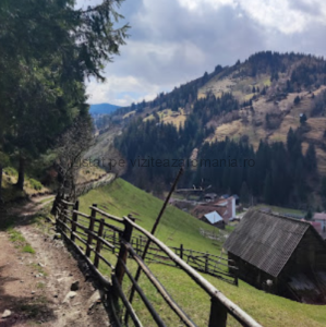 Traseul Ecoturistic T8 Pe Culmea Bisericuței Moieciu de Sus