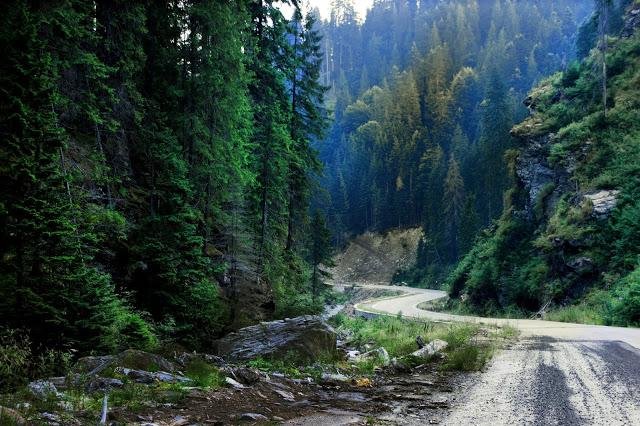 Peisaj de pe Valea Sebeșului cu râul și munții din apropiere