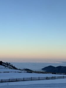 Vălari Frame | Paltinis