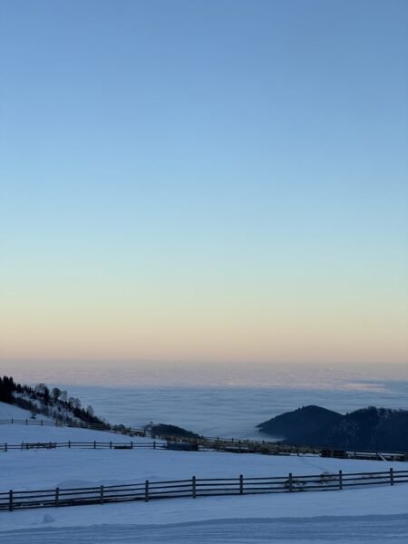 Vălari Frame | Paltinis