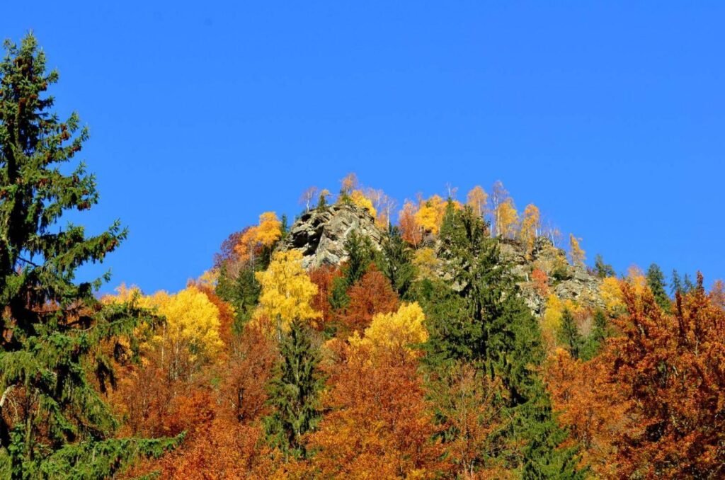Valea Frumoasei din zona Șugag