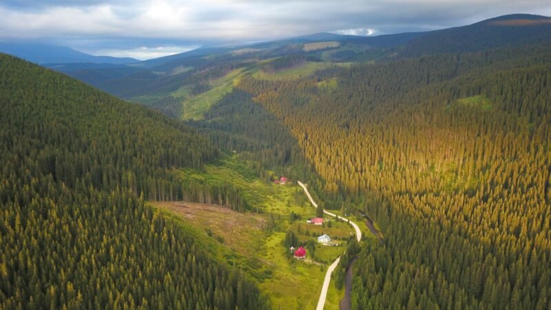 Vizitează Valea Sebeșului