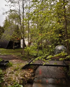 The Palo Cabins